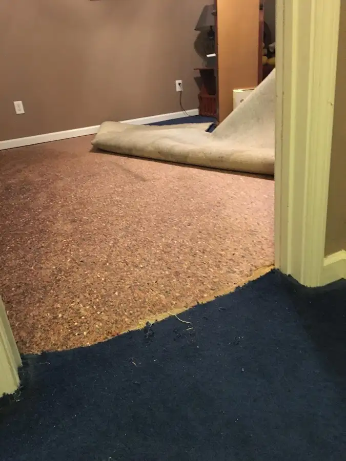 Carpet pad removal revealing water damage during Water Mitigation Services in Littleton