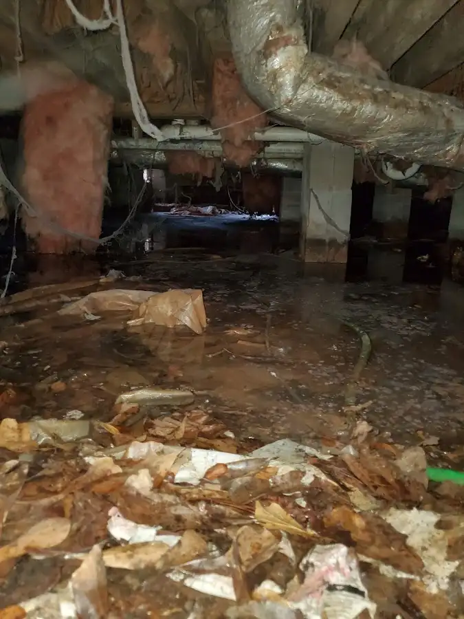 Crawl space flood assessment for Leak Detection & Repair in Littleton
